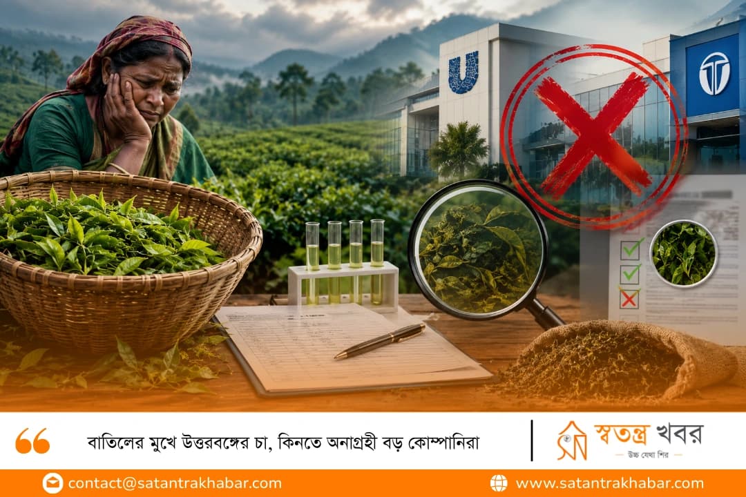 বাতিলের মুখে উত্তরবঙ্গের চা, কিনতে অনাগ্রহী বড় কোম্পানিরা