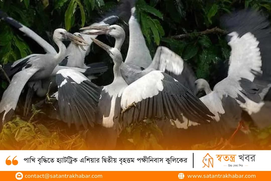 পাখি বৃদ্ধিতে হ্যাটট্রিক এশিয়ার দ্বিতীয় বৃহত্তম পক্ষীনিবাস কুলিকের