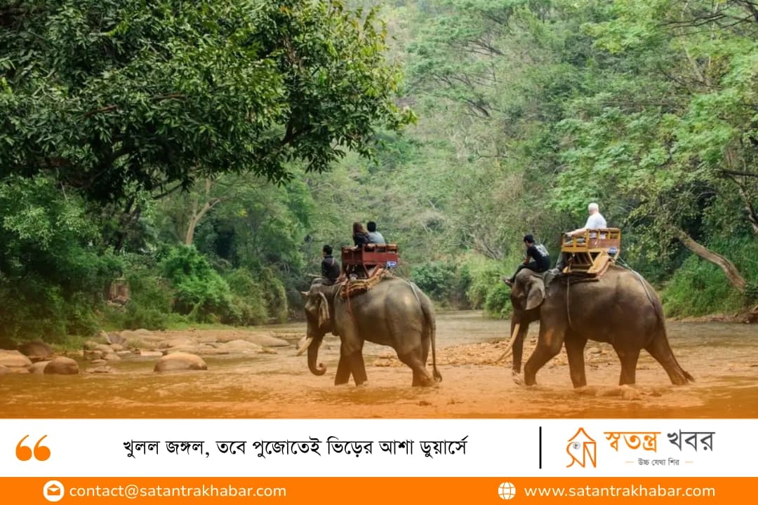 খুলল জঙ্গল, তবে পুজোতেই ভিড়ের আশা ডুয়ার্সে