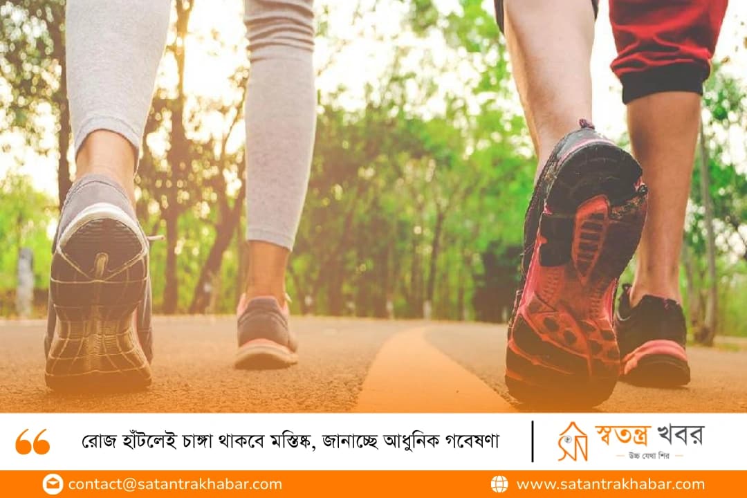 রোজ হাঁটলেই চাঙ্গা থাকবে মস্তিষ্ক, জানাচ্ছে আধুনিক গবেষণা