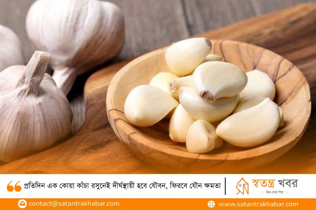 প্রতিদিন এক কোয়া কাঁচা রসুনেই দীর্ঘস্থায়ী হবে যৌবন, ফিরবে যৌন ক্ষমতা