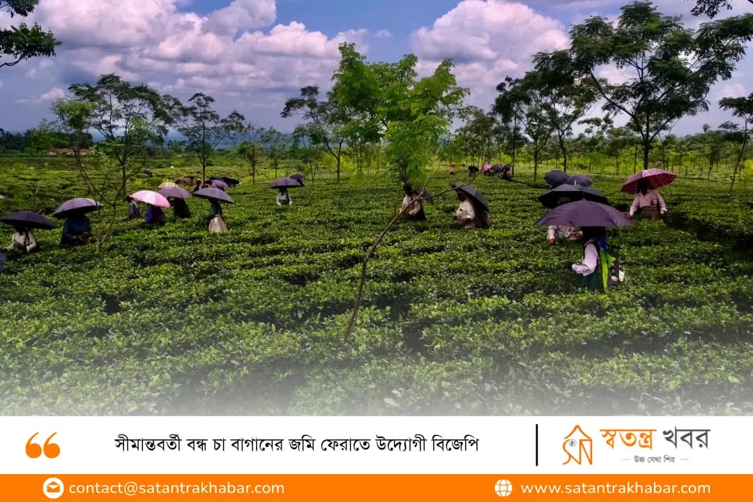 সীমান্তবর্তী বন্ধ চা বাগানের জমি ফেরাতে উদ্যোগী বিজেপি
